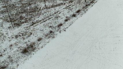 Drone photography of deers in wild rural landscape during winter day