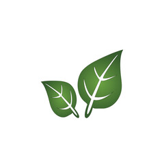 Leaf sign green gradient icon vector image