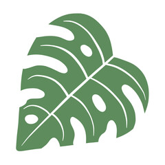 Green monstera leaf illustration