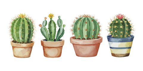 watercolor cactus potted on white background, illustration