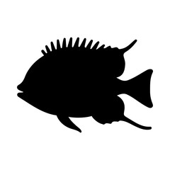 Tropical Fish Silhouette Illustration On Isolated Background