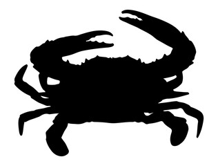 Crab silhouette vector art, Seafood silhouette