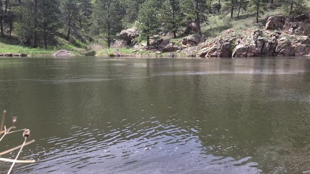 Flowing river in the mountains