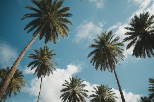 Palm trees in summer with clear blue sky, photo taken from ground looking up, tropical vacation generative AI