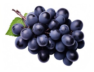 A bunch of ripe Concord grapes with green leaves isolated on white background