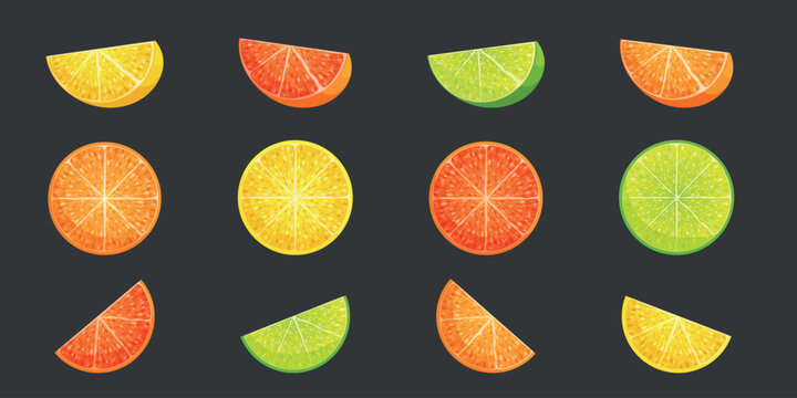 Slices of different citruses: lime, lemon, grapefruit, orange isolated on grey background. Vector illustration for decorative poster, natural product emblem, farmers market