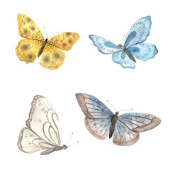 Set of watercolor colorful butterflies. Illustration hand drawn on isolated background for greeting cards, invitations, happy holidays, posters, decor.
