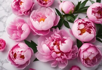 Beautiful pink peony flowers on white stone background with copy space for your text top view