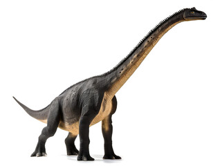 brachiosaurus dinosaur isolated on white