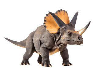 triceratops dinosaur isolated on white
