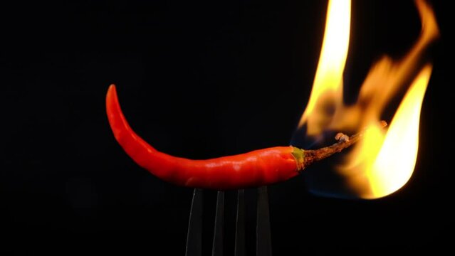 Chili pepper on fork with flames on black background. Burning red chili pepper. Slow motion