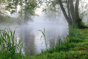 Misty Morning by the riverside on Kaszuby, Poland