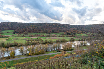Fototapeta na wymiar Das grüne Maintal bei Miltenberg im Herbst