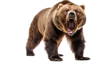Fototapeten  Ferocious brown grizzly bear on a transparent background (PNG) © PNG City