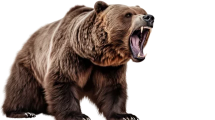 Fototapeten  Ferocious brown grizzly bear on a transparent background (PNG) © PNG City