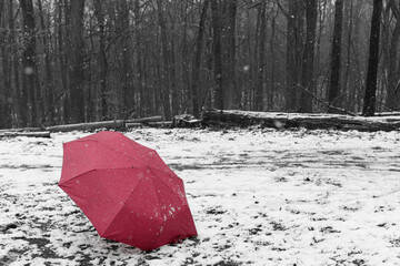 A red umbrella during snowfall at the edge of a forest - 703759502