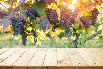 blurred background of vineyard and brown table . High quality photo