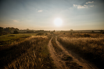 Fototapeta na wymiar A country road in a field in the golden rays of dawn