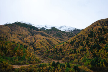 Fototapeta na wymiar Snow-Capped Peaks Over Autumn Forest - A serene landscape where the first snow meets the warm colors of fall.