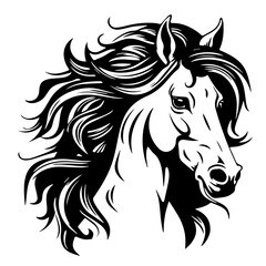 Portrait of a horse on white background 
