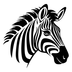 Zebra close up portrait. Zebra animal isolated on a white background