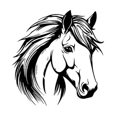 Portrait of a horse on white background 
