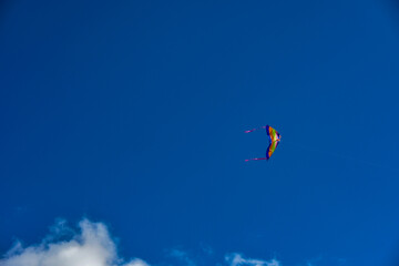 青空を飛ぶカラフル凧