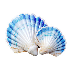 Blue seashells Isolated on transparent background