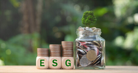ESG letters on wooden blocks. ESG concept of environmental, social and governance. Sustainable and...