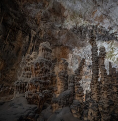 The cave Postojna Cave in Slovenia
