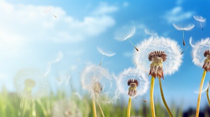 Close-Up Macro Shot of Delicate Dandelion Spores Blowing in the Wind - Nature's Fluffy Seed Dance in Summer Meadow