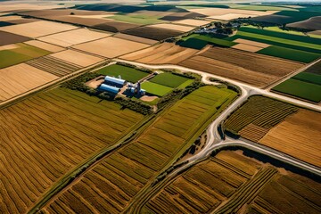 Impeccable lighting reveals vast fields in meticulous detail, where modern agricultural methods intersect with nature's beauty.