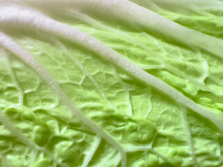 Texture of fresh green savoy cabbage leaf closeup.