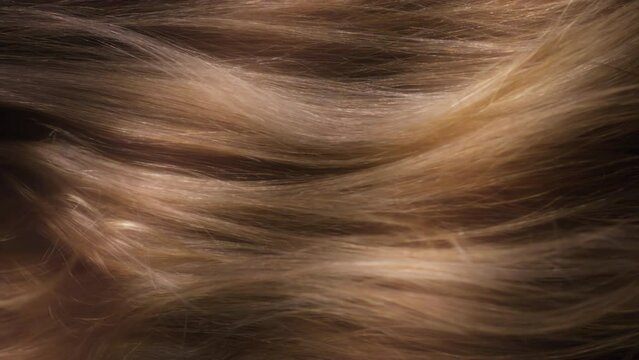 Beauty and glamour hair blowing in the wind in slow motion. Healthy shiny hairs. Hair restoration or care and barbershop or hairdressing concept. Glowing hair macro vertical background