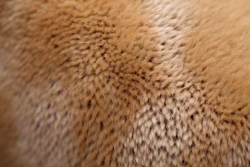 Keuken spatwand met foto close-up of puma fur texture and pattern © primopiano