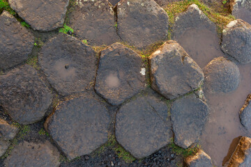 imagen detalle textura piedras calzada del gigante en Irlanda del norte