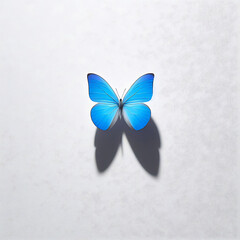blue butterfly 
