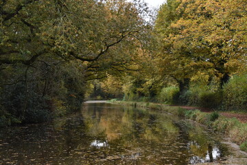 a walk along the grand western canal in Tiverton Devon during autumn 