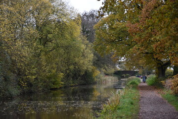 a walk along the grand western canal in Tiverton Devon during autumn 