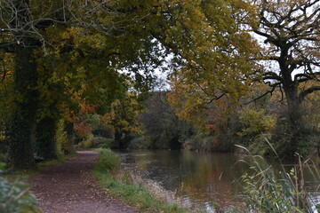 a walk along the grand western canal in Tiverton Devon during autumn 