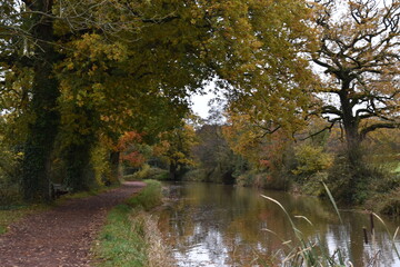 a walk along the grand western canal in Tiverton Devon during autumn 