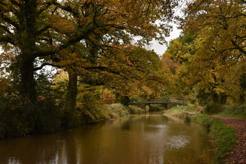 a walk along the grand western canal in Tiverton Devon during autumn 