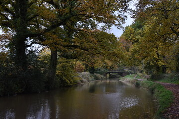 a walk along the grand western canal in Tiverton Devon during autumn 