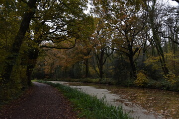 a walk along the grand western canal in Tiverton Devon during autumn 
