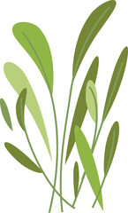 Colorful Floral Leaves Element