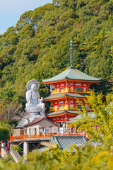 【奈良県】信貴山 朝護孫子寺 (2023/11/14 撮影)