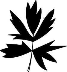 Botanical Floral Hand Drawn Line Art