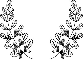Botanical Floral Laurel Hand Drawn Line Art