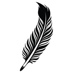 Obraz premium Black fluffy feather. Hand drawing vintage art realistic quill feathers for pen detailed isolated vector elegant silhouette sketch bird plume set