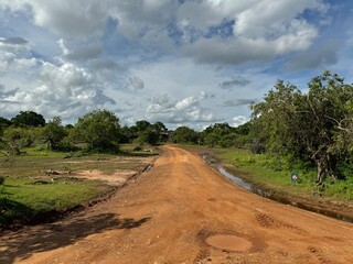 empty street view of B499, Kirinda - Palatupana road at Yala National Park, Costal Margine nearby Yala in Block II, Sri Lanka © jsp